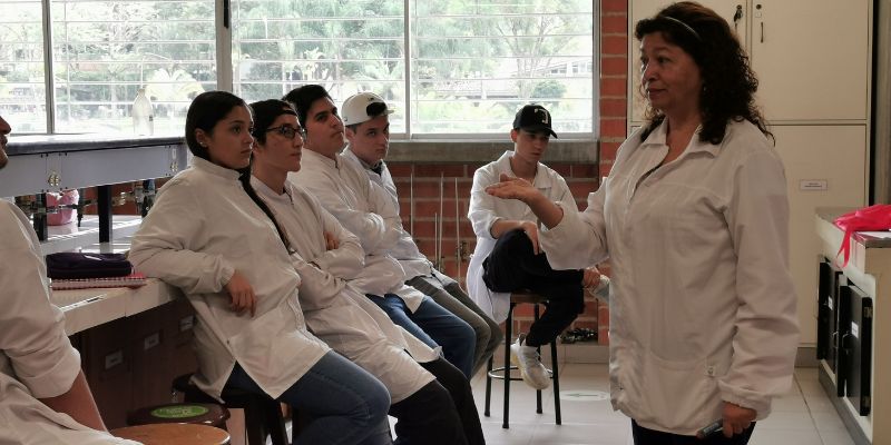 Evaluación docente en la Universidad de Medellín 2024.